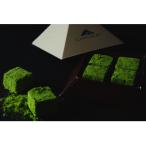 抹茶生チョコレートセット 16個入