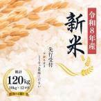 大文字屋米穀店 コシヒカリ 10kg