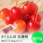 ふるさと納税 大石田町 さくらんぼ 佐藤錦 秀Mサイズ 約800g(200g×4パック)フードパック 2025年産 山形県産