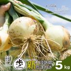 ふるさと納税 淡路市 【新たまねぎ】淡路島たまねぎ 歩-AYUMU- 5kg【発送時期3月〜6月上旬頃】 ak04815