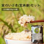 金のいぶき 玄米粥 セット 230g