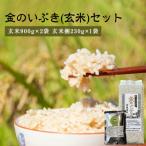 金のいぶき 玄米 粥 セット ヨシ腐葉土 げんまい