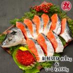 魚貝類 鮭 20-235 塩紅鮭姿切身&amp;ますいくら醤油漬けセ…