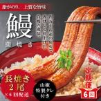ふるさと納税 四万十市 【6回定期便】お楽しみ企画 6ヵ月連続<四万十食品>うなぎ蒲焼 長焼2尾/BC.R6-1060