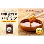 日本蜜蜂のハチミツ100% はちみつ 1本