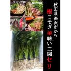 三関産せり 5束