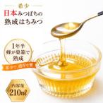 日本ミツバチ熟成はちみつ 百花蜂蜜210g*392