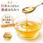 日本ミツバチ熟成はちみつ 百花蜂蜜470g*420