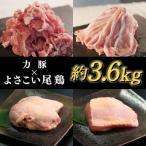 よさこい尾鶏 鶏肉 唐揚げ 手羽中 チキンスペアリブ 3.6kg