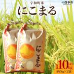 お米 コメ 白米 ご飯 晩稲 大粒 特産品