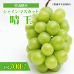 ぶどう2026年 プレミアム シャインマスカット