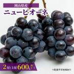 ぶどう 2026年 ニュー ピオーネ 2房 1房600g以上
