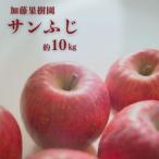 ふるさと納税 福島市 加藤果樹園 サンふじ 約10kg 【2025年度発送】 No.2532