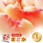 ふるさと納税 福島市 もも「まどか」 特秀品約1kg【2025年発送】No.2435