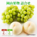 ショッピングふるさと納税 シャインマスカット ふるさと納税 瀬戸内市 果物詰合せ 白桃 2玉・シャインマスカット晴王 2房 化粧箱入 岡山県産[No.5735-1469]