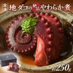 これぞ職人技 地ダコの絶品やわらか煮 _HA1216
