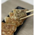 惣菜 レトルト 冷凍 肉汁爆発 特製プレミアム肉餃子