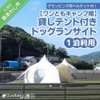 ワンともキャンプ場