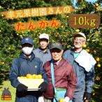 世界中が笑顔になるね 佐原農園さんのたんかん 10kg