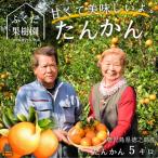 ねぇ美味しいよ 徳之島 ふくだ果樹園さんのたんかん 5kg