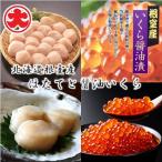 ふるさと納税 根室市 【北海道根室産】ほたてと醤油いくら B-01062