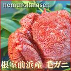毛がに450~500g×1尾 B-57025