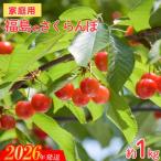 ふるさと納税 福島市 【ご家庭用】さくらんぼ 品種お任せ 約1kg(バラ詰小粒)【2026年発送　先行受付】No.2575