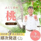 ふるさと納税 福島市 福島 桃 晩成種約2kg【2025年発送】No.2407