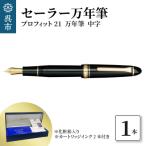 セーラー万年筆 プロフィット21 万年筆