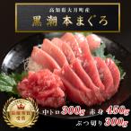 訳あり 不定貫 まぐろ 本マグロ 刺身 赤身 中トロ