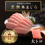 大トロ 150g