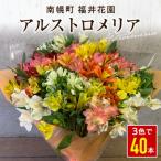 アルストロメリア 花束 40本