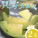 ふるさと納税 大月町 パンナメロン 2玉 希少 甘い 芳醇 メロン フルーツ 果物 数量限定 厳選 ギフト 旬 贈答