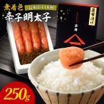 無着色辛子明太子 1本物300g _HA1253