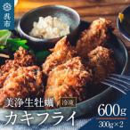 ふるさと納税 呉市 中野水産 美浄生牡蠣 冷凍カキフライ ku007-002-r