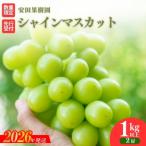 ショッピングふるさと納税 シャインマスカット ふるさと納税 福島市 ぶどう　シャインマスカット1kg以上【2026年発送 先行受付】No.2609