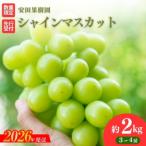 ふるさと納税 福島市 ぶどう　シャインマスカット約2kg【2026年発送 先行受付】No.2613