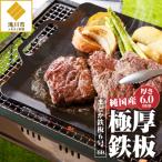 まどか鉄板6号 60