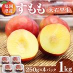 すもも 大石早生 1kg