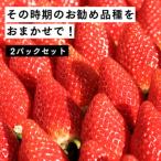 伊賀いちご園のおまかせ2P ar003-ab