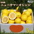おれんじはーと 農家直送ニューサマーオレンジ5kg