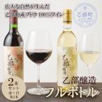ふるさと納税 乙部町 【乙部醸造ワイン　赤・白2本セット】北海道産　各720ml×1
