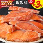 ふるさと納税 気仙沼市 訳あり 銀鮭 切身 約3kg [宮城東洋 宮城県 気仙沼市 20564992]
