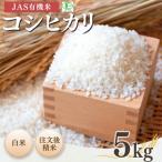 令和8年産 新米 コシヒカリ 白米 5kg