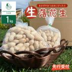 fu.... налог . Muromachi [2026 год предшествующий прием ] Hokkaido Tokachi . Muromachi сырой арахис .. для .. .1kg me028-003c-26