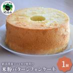 ふるさと納税 妙高市 