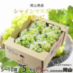 ふるさと納税 瀬戸内市 シャインマスカット 晴王 5房〜10房 約5kg 岡山県産[No.5735-1658]