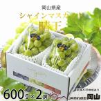 ショッピングふるさと納税 シャインマスカット ふるさと納税 瀬戸内市 シャイン マスカット 晴王 約600g×2房   岡山県産 [No.5735-1662]