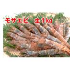 モサエビ 生1kg 中~大サイズ
