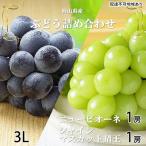 ショッピングふるさと納税 シャインマスカット ふるさと納税 瀬戸内市 ニュー ピオーネ・シャイン マスカット 晴王 各1房約600g 岡山県産[No.5735-1677]